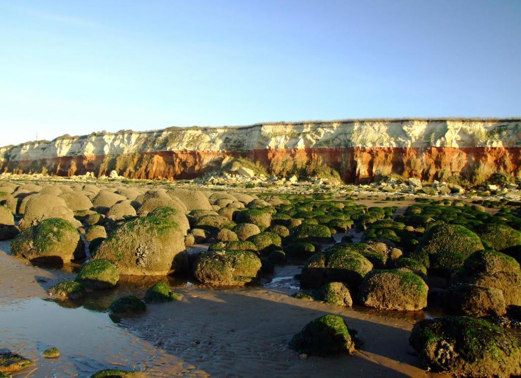 فندق هونستنتونفي  The Shellbrooke المظهر الخارجي الصورة